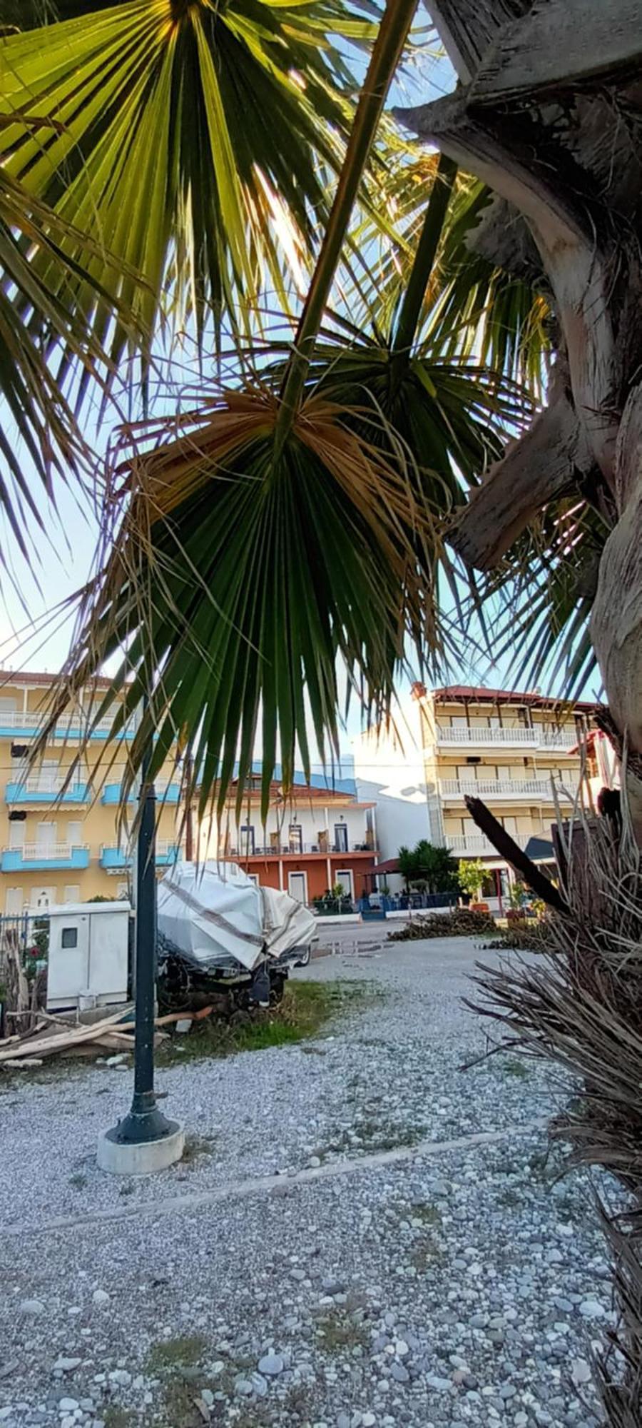 Mana Mia Seaside Apartments Leptokarya  Exterior foto